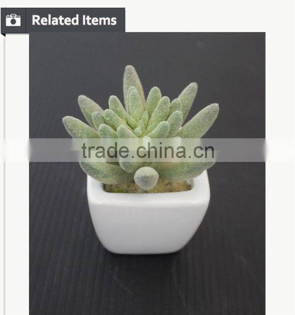 Mini potted succulents plants factory selling mini artificial succulents