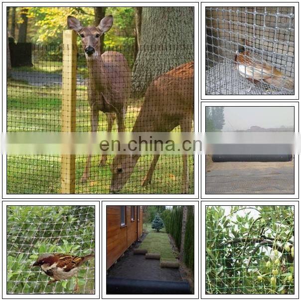 10mm Mesh PP Plastic Mole Grid 45GSM, 1.5MX100M