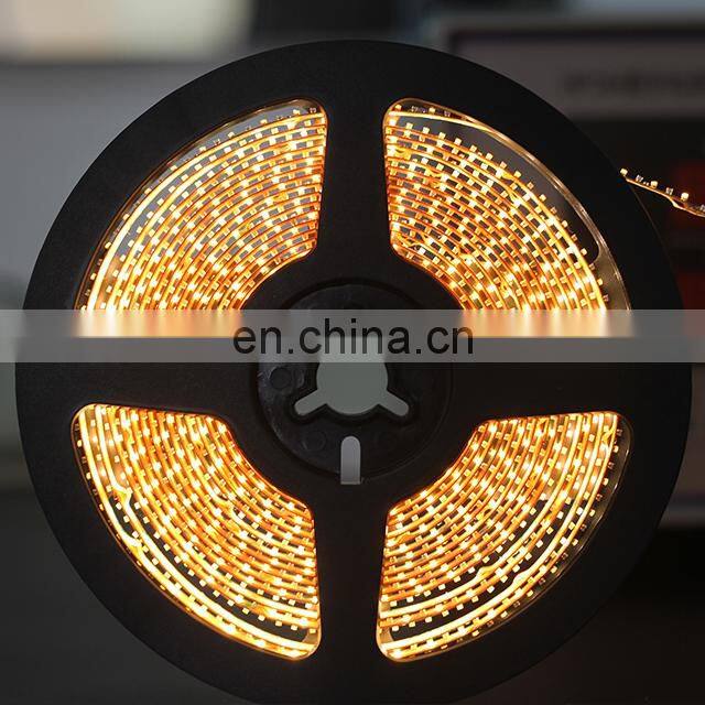 12v 24v leds flexible waterproof dmx rgb outdoor led light strip