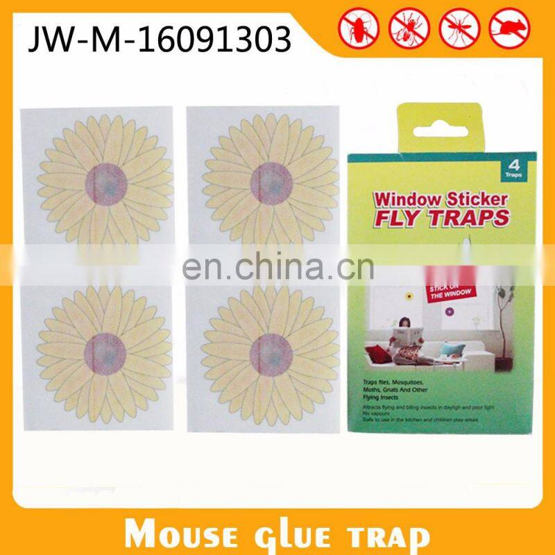 Insecticides For Public Health Sticky Fly Paper Fruit Fly Glue Board
