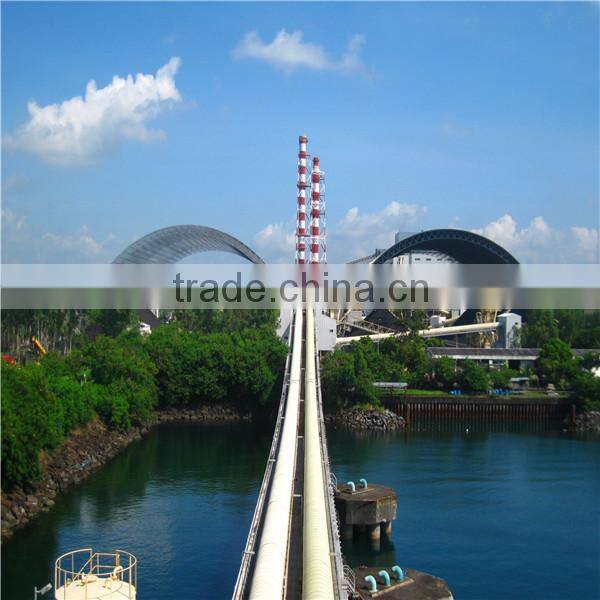 Galvanized Lightweight Space Grid Steel Vaulted Roof