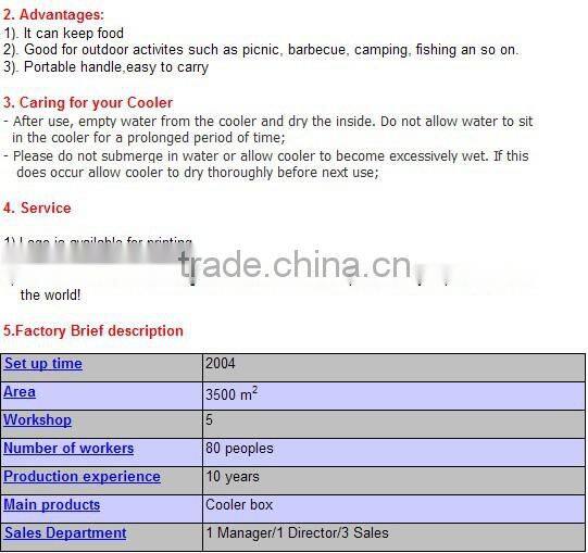 Portable outdoor Car cooler box