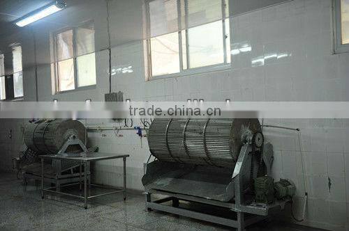 Frozen Ribbon fish WR