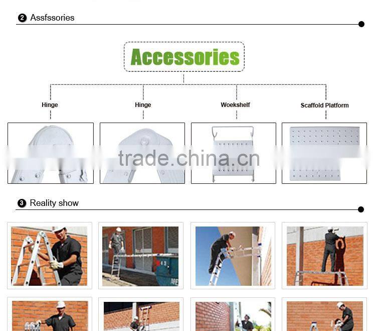 Little Giant agility ladder