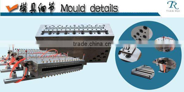 Architecture Template Extrusion Foaming Mould