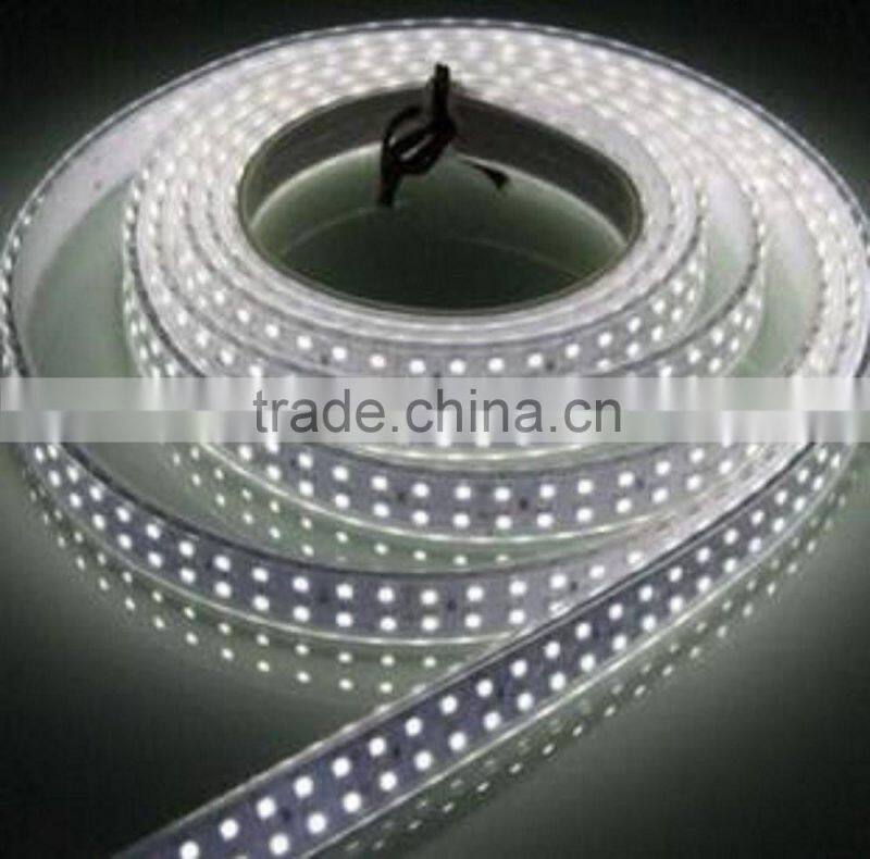 IP67/IP68 12v 5mSMD3528 Double line 24v underwater led strip 1200leds with silicone tube