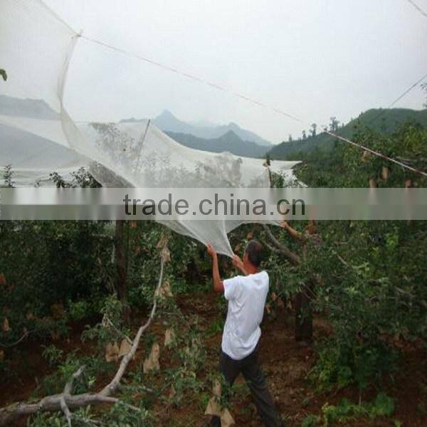 Agricultural Anti hail Net,Anti Hail Net,hail Protection net for the fruit tree(Manufacture)