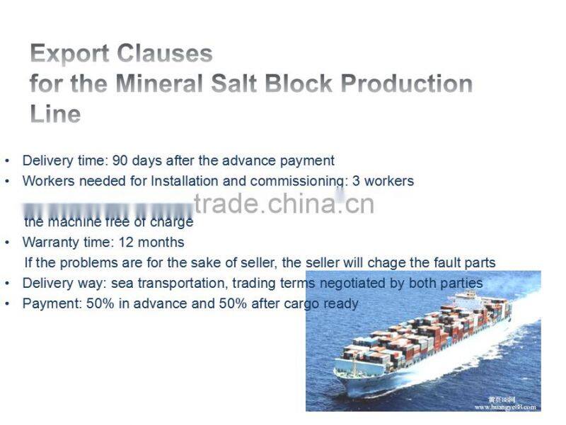 Rephale Salt Block/Tablet Press Machine