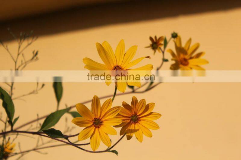 high quality appropriate whiteness suitable surface offset paper