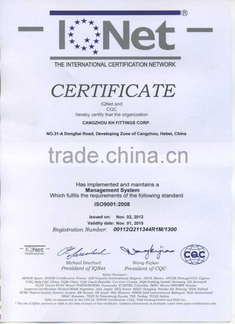 STAINLESS STEEL Casting Pipe Fittings 1" 316 Y TYPE STRAINER