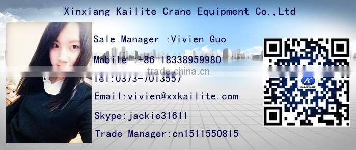 50t European Style Double Girder Railway Bridge Crane