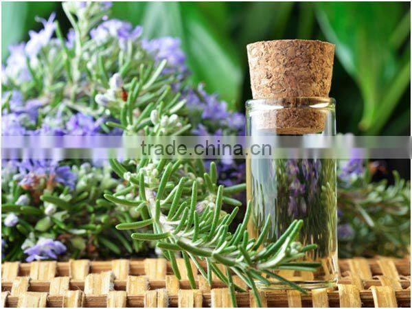100%Pure Natural Rosemary Oil For Export Only