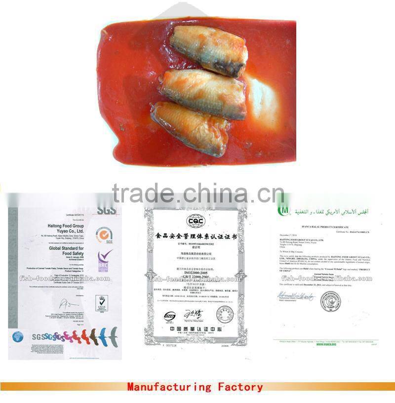 mackerel fresh fish in tomato sauce