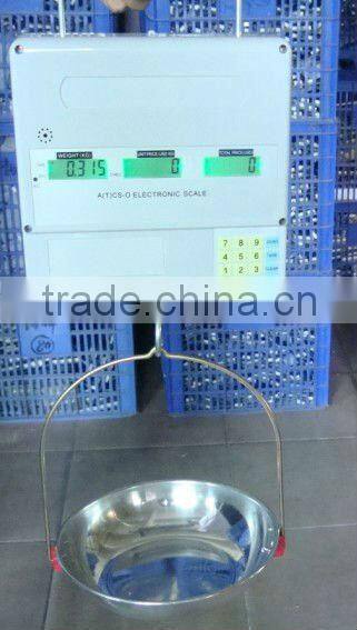 Hot 30kg Digital Hanging Scale