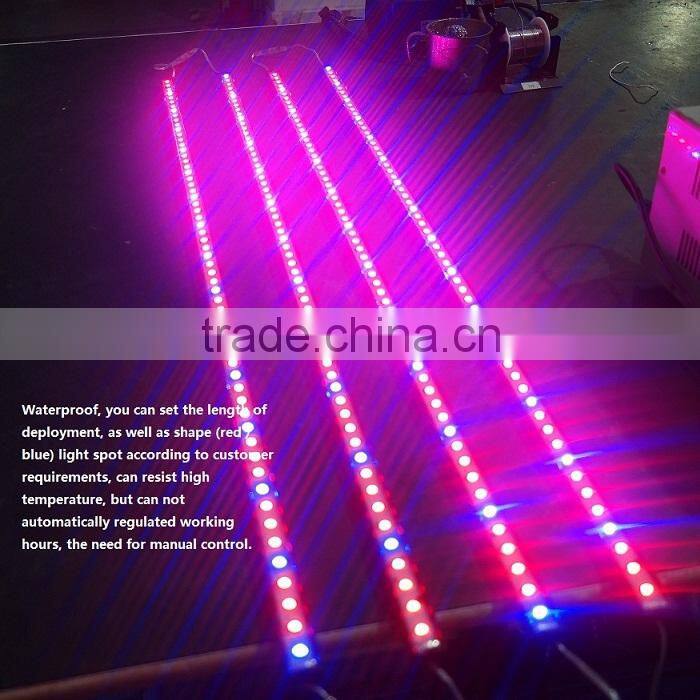 XQD 12W led grow light tube