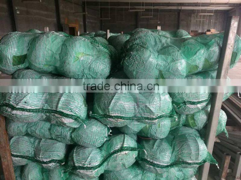 VIET NAM FRESH CABBAGES VIETGAP