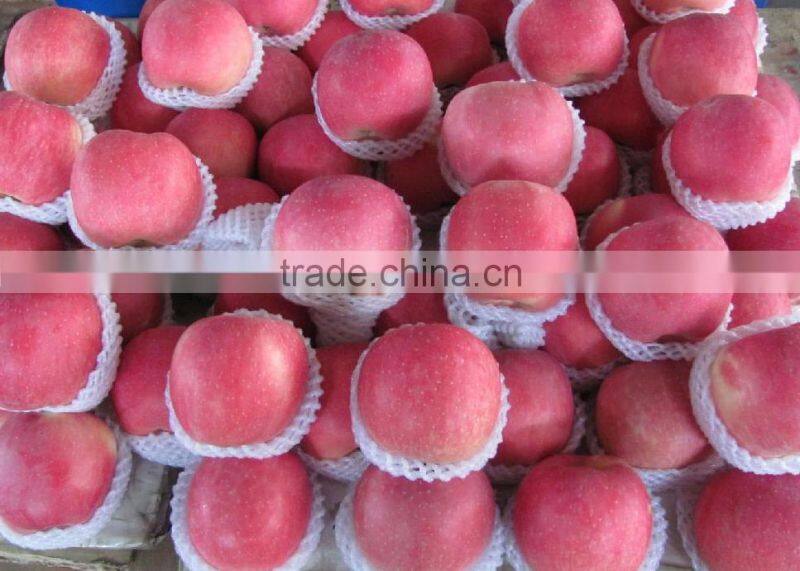 Top Quality Chinese 9kg-20kg carton fresh fuji apple