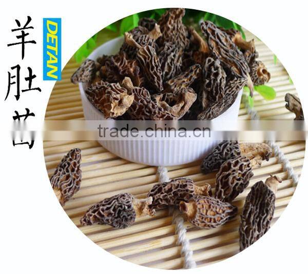 High quality dried morels