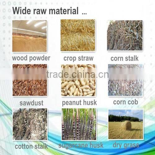 China Factory Briquetting Machine for Biomass Rice Husk