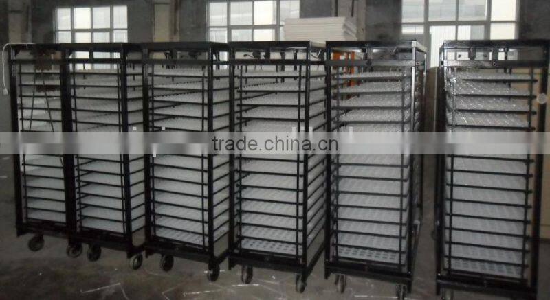 Good Quality & Price hatching chiken eggs