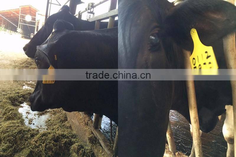2016 top sale Atag 9# livestock farming mini gps cattle ear tags