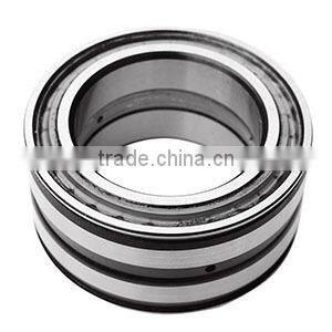 SL045004PPX - SL045048PPX Double Seal Double-row Full Conplement Cylindrical Roller Bearing