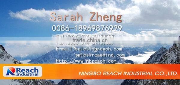 Stainless Steel Flush Hinge for Cargo Tralier