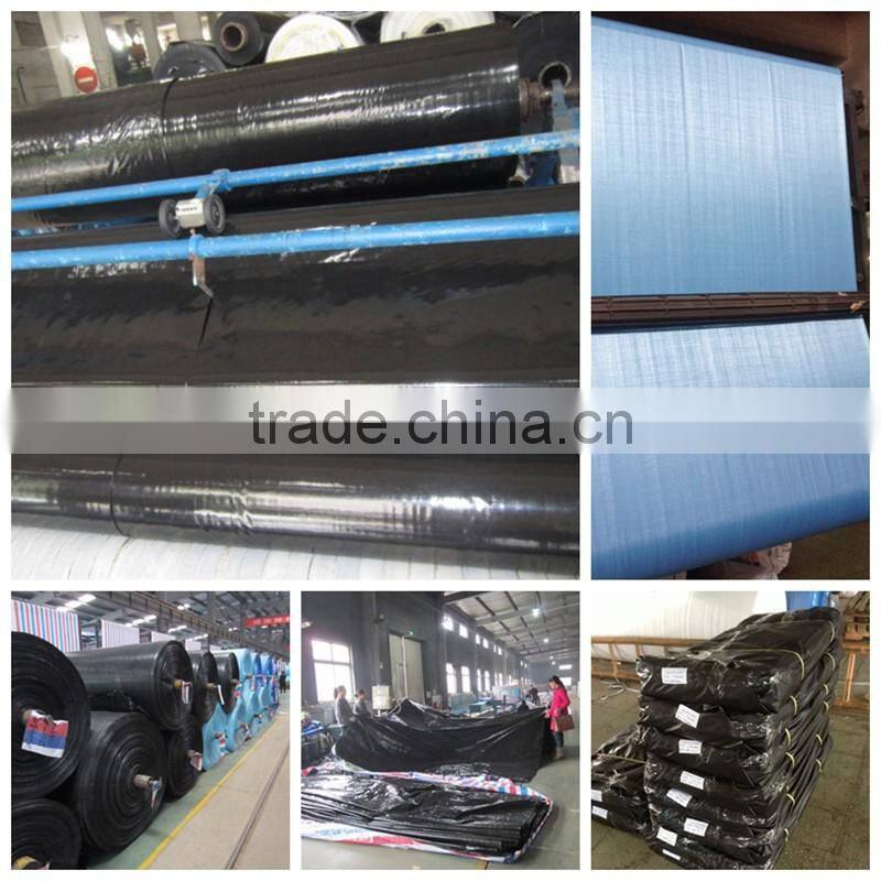 Supply woven fabric HDPE Water Tank Liner /black lining for fish farm pond/plastic geomembrane liners