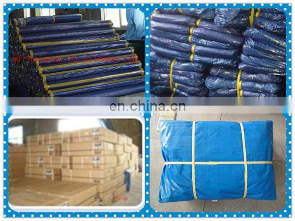 Tarp Tent Shelter Shade Tarpaulin Picnic Blanket Beach Mat Camping