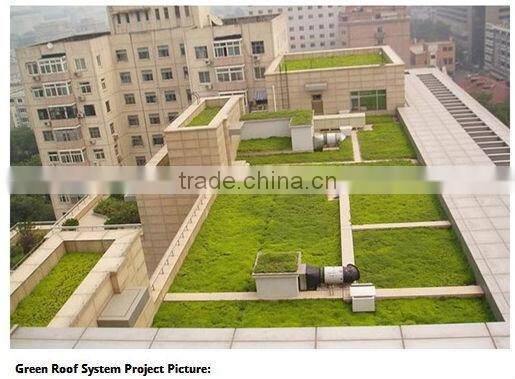 Foundation wall internal drainage board dimple drainage board