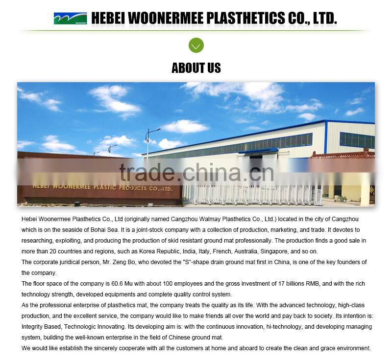 Colorful Door/market mat