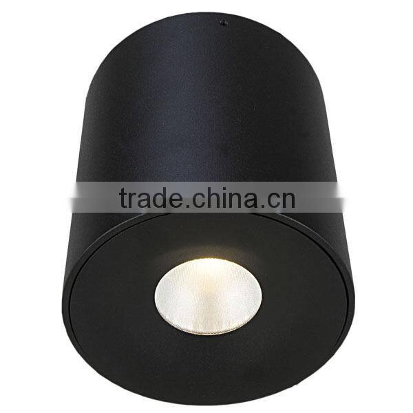 name board CE&SAA fantastic performance led ceiling mount light ,led ceiling mount light