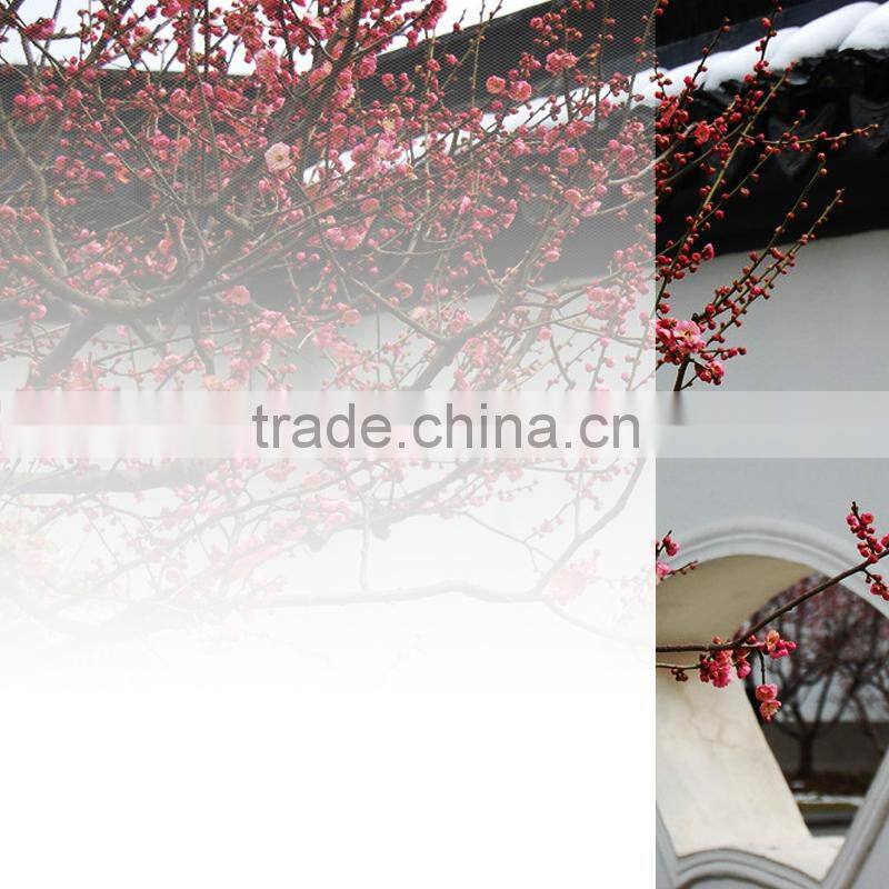 white gradation home protection PET film