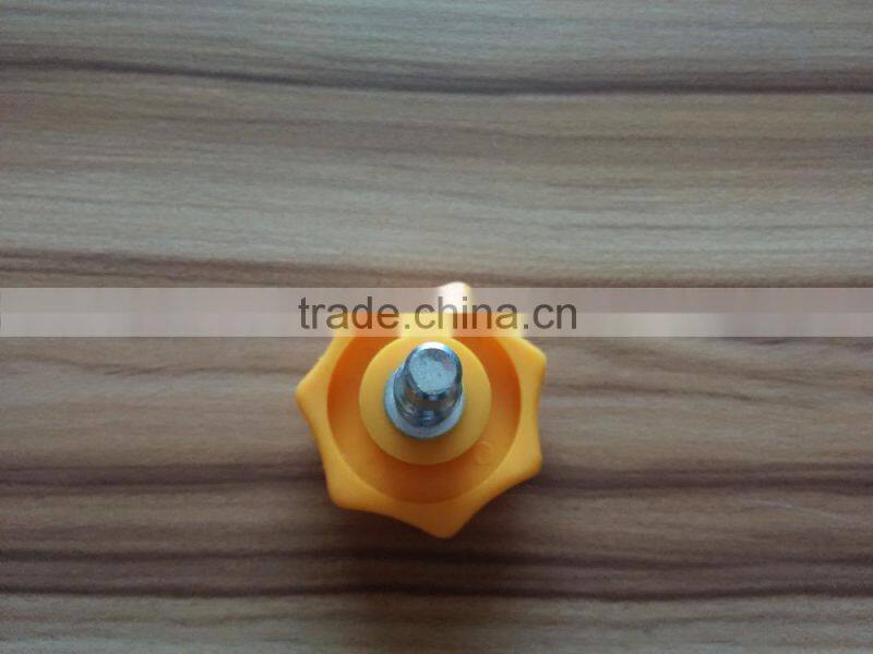 Plastic Head Steel Bolt