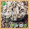 Broken Sunflower Kernel for Bird Feed animal feed