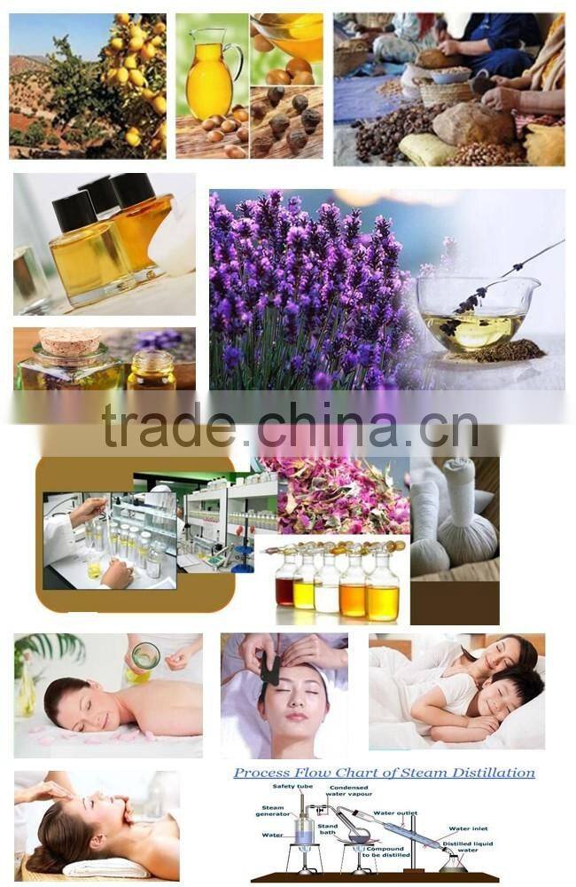 Hot wholesale hanging bottle car air freshener, vegetable oil, aroma liquid hanging car perfume bottle