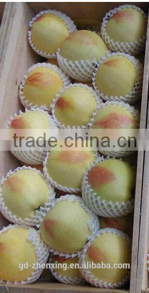 Factory direct fruit protection foam packing net, net wrappers, net mesh fruit packing bags