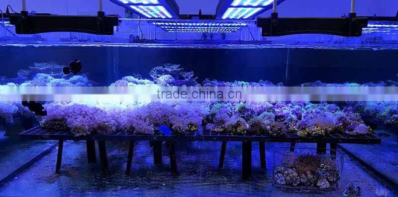 saltwater fish lights EverGrow IT5012 led aquarium light Full Aluminum Housing