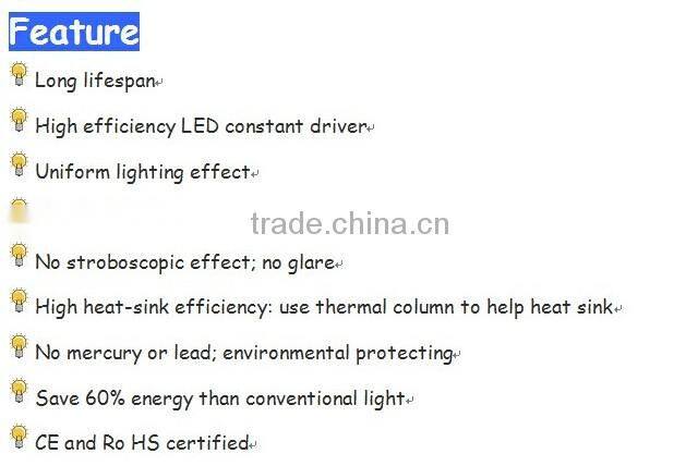 Factory direct sale 6w g125 LED carbon filament bulb