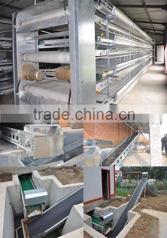 Chicken farm south africa egg layer cages