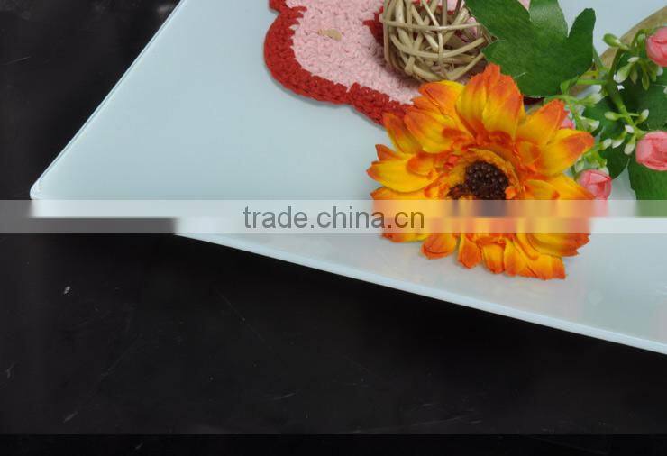 7"x 12" Glass Plate/ Glass plate for printing/ Blank glass plate/ Plate for ads