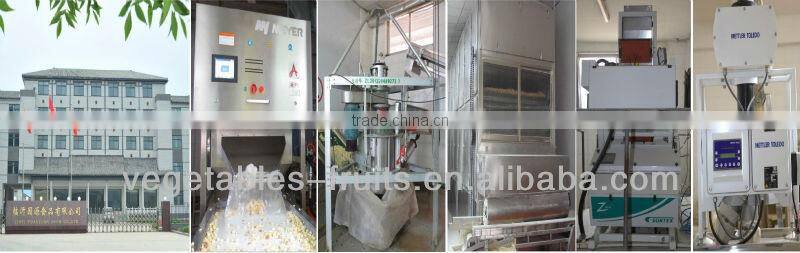 garlic extract oil-100% essential from high quality garlic