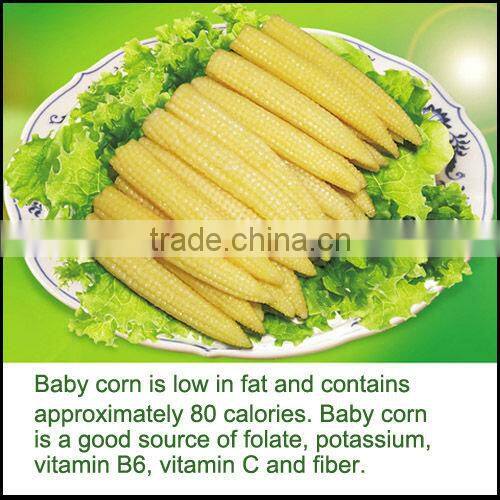 Canned Baby Corn