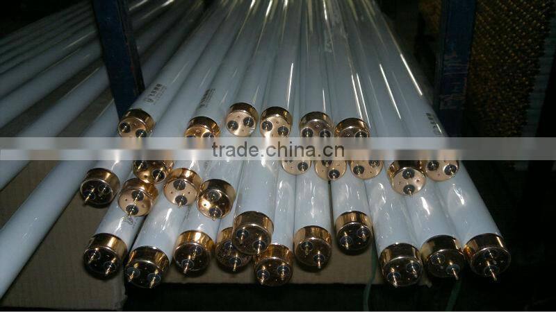 high quality best price T5 fluorescent tube