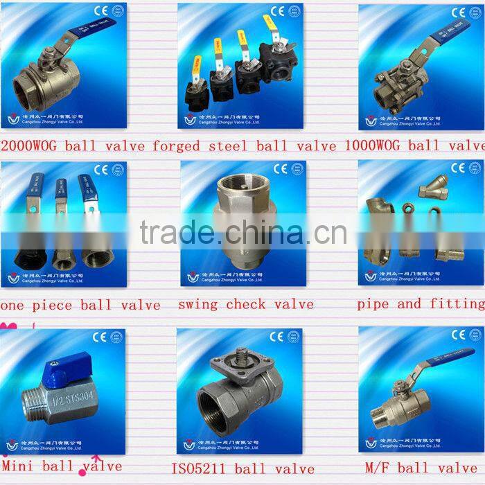 2PC spring Vertical 800WOG stainless steel miniature check valve