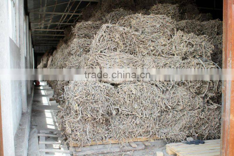 Licorice Root Exporters from India