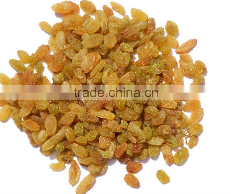 raisins sultana