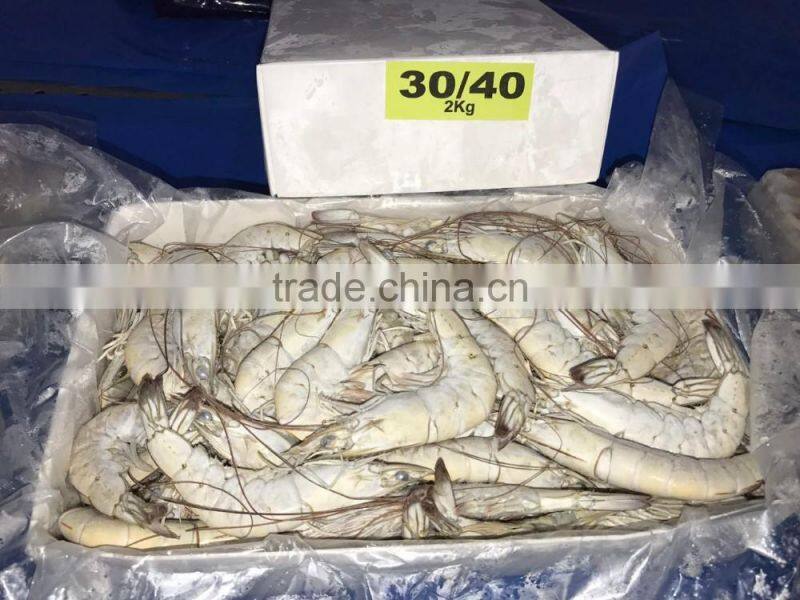 Frozen vannamei shrimp price