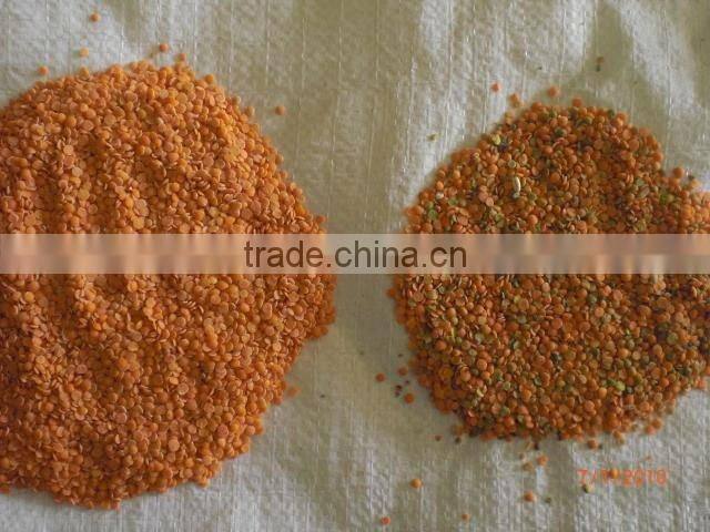 industrial scrap colorized sorter