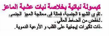 Epimedium Extract Herbal Capsule